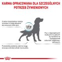 ROYAL CANIN Hypoallergenic 7kg ROYAL CANIN Hypoallergenic 7kg