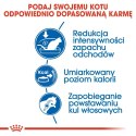 ROYAL CANIN Indoor 27 10kg ROYAL CANIN Indoor 27 10kg