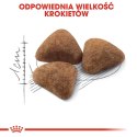 ROYAL CANIN Indoor 27 10kg ROYAL CANIN Indoor 27 10kg
