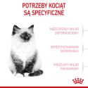 ROYAL CANIN Kitten 10kg ROYAL CANIN Kitten 10kg