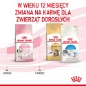 ROYAL CANIN Kitten 10kg ROYAL CANIN Kitten 10kg