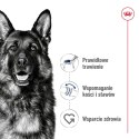 ROYAL CANIN Maxi Adult 15kg ROYAL CANIN Maxi Adult 15kg