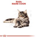 ROYAL CANIN Maine Coon Adult 400g ROYAL CANIN Maine Coon Adult 400g