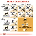 ROYAL CANIN Maine Coon Adult 400g ROYAL CANIN Maine Coon Adult 400g