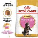 ROYAL CANIN Maine Coon Kitten 10kg ROYAL CANIN Maine Coon Kitten 10kg