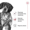 ROYAL CANIN Medium Adult 15kg ROYAL CANIN Medium Adult 15kg