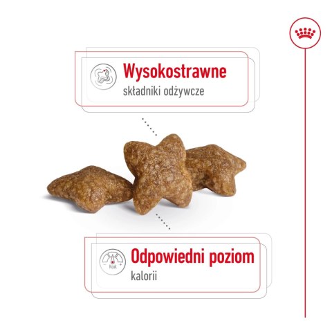ROYAL CANIN Mini Adult 4kg ROYAL CANIN Mini Adult 4kg