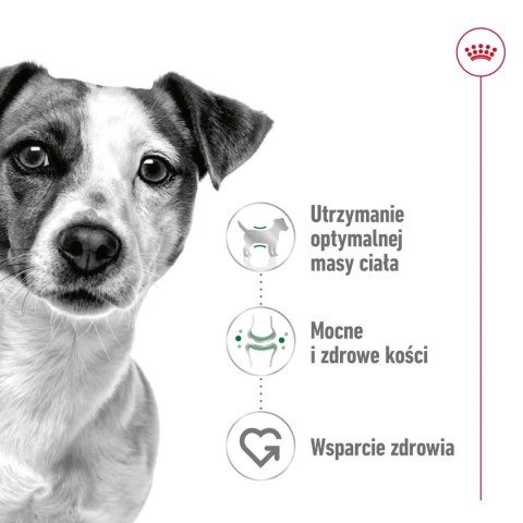 ROYAL CANIN Mini Adult 4kg ROYAL CANIN Mini Adult 4kg