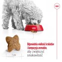 ROYAL CANIN Mini Adult 4kg ROYAL CANIN Mini Adult 4kg