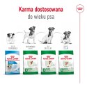 ROYAL CANIN Mini Adult 4kg ROYAL CANIN Mini Adult 4kg