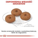 ROYAL CANIN Mini Ageing 12+ 1,5kg ROYAL CANIN Mini Ageing 12+ 1,5kg