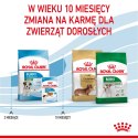ROYAL CANIN Mini Puppy 2kg ROYAL CANIN Mini Puppy 2kg