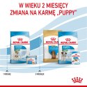 ROYAL CANIN Mini Starter 1kg ROYAL CANIN Mini Starter 1kg