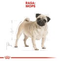 ROYAL CANIN Pug Adult 1,5kg ROYAL CANIN Pug Adult 1,5kg