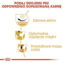 ROYAL CANIN Pug Adult 1,5kg ROYAL CANIN Pug Adult 1,5kg
