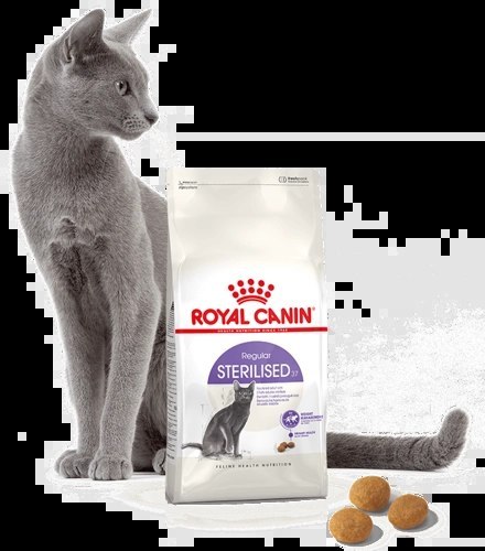 ROYAL CANIN Sterilised 37 2kg ROYAL CANIN Sterilised 37 2kg