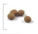 ROYAL CANIN Sterilised 37 2kg ROYAL CANIN Sterilised 37 2kg