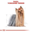 ROYAL CANIN Yorkshire Terrier Adult 1,5kg ROYAL CANIN Yorkshire Terrier Adult 1,5kg