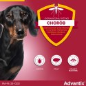 Bayer Advantix Krople Na Kleszcze I Pchły 4x1ml Bayer Advantix Krople Na Kleszcze I Pchły 4x1ml