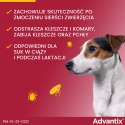 Bayer Advantix Krople Na Kleszcze I Pchły 4x1ml Bayer Advantix Krople Na Kleszcze I Pchły 4x1ml