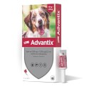Bayer Advantix Krople Na Kleszcze I Pchły 4x2,5ml Bayer Advantix Krople Na Kleszcze I Pchły 4x2,5ml