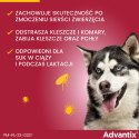 Bayer Advantix Krople Na Kleszcze I Pchły 4x2,5ml Bayer Advantix Krople Na Kleszcze I Pchły 4x2,5ml