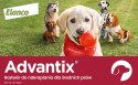 Bayer Advantix Krople Na Kleszcze I Pchły 4x2,5ml Bayer Advantix Krople Na Kleszcze I Pchły 4x2,5ml