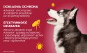 Bayer Advantix Krople Na Kleszcze I Pchły 4x2,5ml Bayer Advantix Krople Na Kleszcze I Pchły 4x2,5ml