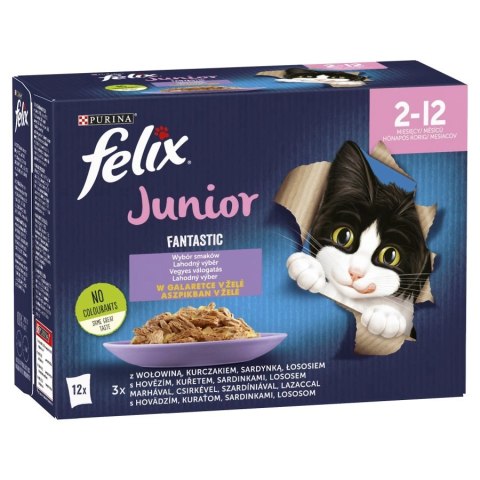 Felix Fantastic Junior W Galaretce 12x85g Felix Fantastic Junior W Galaretce 12x85g