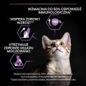 Purina Pro Plan Original Kitten Kurczak Z Ryżem 400g Purina Pro Plan Original Kitten Kurczak Z Ryżem 400g