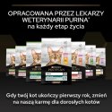 Purina Pro Plan Original Kitten Kurczak Z Ryżem 400g Purina Pro Plan Original Kitten Kurczak Z Ryżem 400g