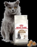 ROYAL CANIN Ageing Sterilised +12 4kg ROYAL CANIN Ageing Sterilised +12 4kg