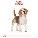 ROYAL CANIN Beagle Adult 12kg ROYAL CANIN Beagle Adult 12kg