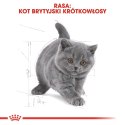 ROYAL CANIN British Shorthair Kitten 2kg ROYAL CANIN British Shorthair Kitten 2kg