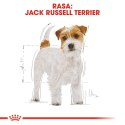 ROYAL CANIN Jack Russell Terrier Adult 1,5kg ROYAL CANIN Jack Russell Terrier Adult 1,5kg