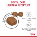 ROYAL CANIN Oral Care 3,5kg ROYAL CANIN Oral Care 3,5kg
