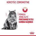 ROYAL CANIN Oral Care 3,5kg ROYAL CANIN Oral Care 3,5kg