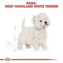 ROYAL CANIN West Highland White Terrier Adult 3kg ROYAL CANIN West Highland White Terrier Adult 3kg