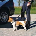 Trixie Szelki Dla Psa Rozmiar L Trixie Szelki Dla Psa Rozmiar L