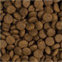 Tropidog Super Premium Adult Medium & Large Breed Kurczak I Łosoś 15kg Tropidog Super Premium Adult Medium & Large Breed Kurczak I Łosoś 15kg