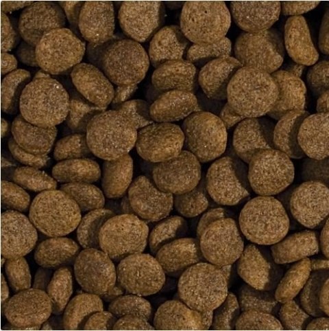 Tropidog Super Premium Adult Medium & Large Breed Kurczak I Łosoś 15kg Tropidog Super Premium Adult Medium & Large Breed Kurczak I Łosoś 15kg