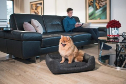 AMIPLAY Sofa ZipClean 4 in 1 Morgan Biała S AMIPLAY Sofa ZipClean 4 in 1 Morgan Biała S