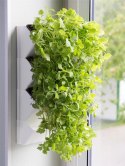 AQUAEL Versa Garden Herbs AQUAEL Versa Garden Herbs