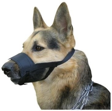 Dingo Kaganiec Weterynaryjny Nylonowy Dla Psa Rozmiar 1 13-16cm Dingo Kaganiec Weterynaryjny Nylonowy Dla Psa Rozmiar 1 13-16cm