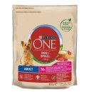 PURINA ONE Mini Adult Wołowina, ryż - sucha karma dla psa - 800g PURINA ONE Mini Adult Wołowina, ryż - sucha karma dla psa - 800g
