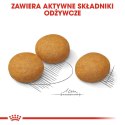 ROYAL CANIN CCN Maxi Dermacomfort 12kg ROYAL CANIN CCN Maxi Dermacomfort 12kg