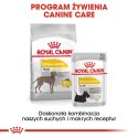 ROYAL CANIN CCN Maxi Dermacomfort 12kg ROYAL CANIN CCN Maxi Dermacomfort 12kg