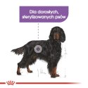 ROYAL CANIN CCN Maxi Sterilised 12kg ROYAL CANIN CCN Maxi Sterilised 12kg