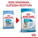 ROYAL CANIN Mini Starter Mother & Babydog 8kg ROYAL CANIN Mini Starter Mother & Babydog 8kg