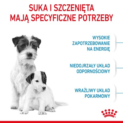ROYAL CANIN Mini Starter Mother & Babydog 8kg ROYAL CANIN Mini Starter Mother & Babydog 8kg